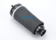 Front Auto Air Shock Absorber Spring For MERCEDES BENZ R - Class W251 A2513203013 A2513203113