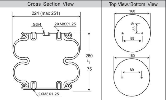 FD200-19 Contitech Double Convoluted Air Spring 2B9-252 Goodyear Rubber Air Bag