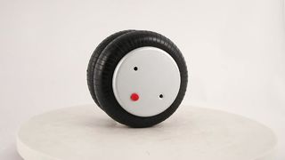 Air Spring Shock Absorber FD 200-19 Replacement