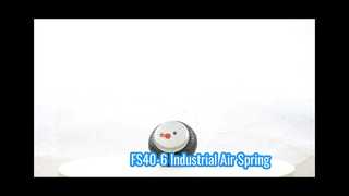 Air Spring G1/8 FS 40-6 for Industrial Use
